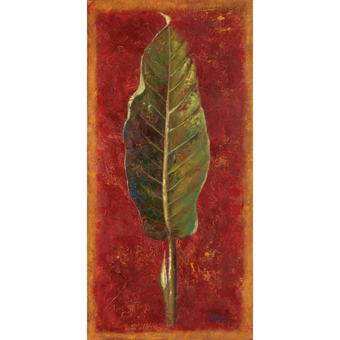 Caliente II Black Modern Wood Framed Art Print with Double Matting by Pinto, Patricia