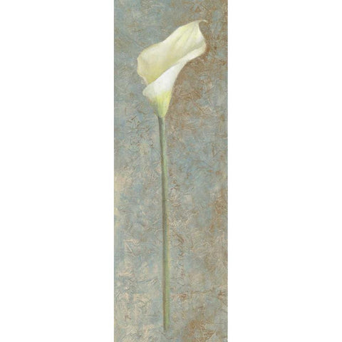 Calla Lily I Black Modern Wood Framed Art Print with Double Matting by Loreth, Lanie
