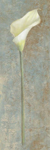 Calla Lily I Black Ornate Wood Framed Art Print with Double Matting by Loreth, Lanie