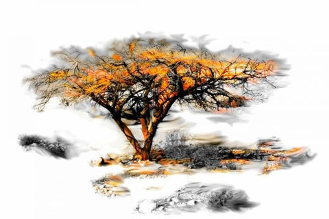 Trees Alive II Black Ornate Wood Framed Art Print with Double Matting by Mabat, Ynon