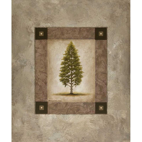 European Pine I Black Modern Wood Framed Art Print with Double Matting by Marcon, Michael