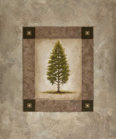 European Pine I White Modern Wood Framed Art Print with Double Matting by Marcon, Michael