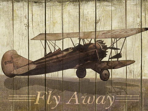 Fly Away Black Ornate Wood Framed Art Print with Double Matting by Pattinian, Merri