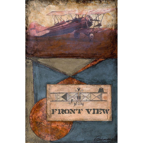 Antique Plane - Front Gold Ornate Wood Framed Art Print with Double Matting by Pattinian, Merri