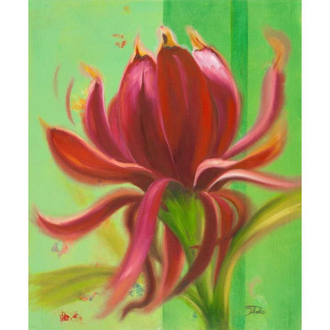 Exotica I Black Modern Wood Framed Art Print by Pinto, Patricia