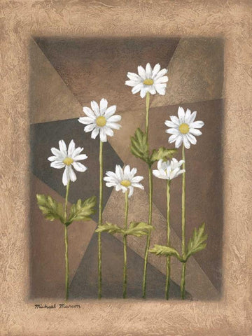 White Daisies White Modern Wood Framed Art Print with Double Matting by Marcon, Michael