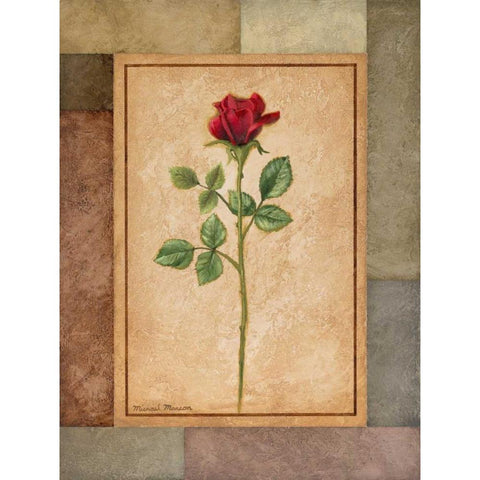 Changing Colors I Black Modern Wood Framed Art Print with Double Matting by Marcon, Michael