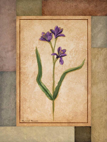 Changing Colors II Black Ornate Wood Framed Art Print with Double Matting by Marcon, Michael