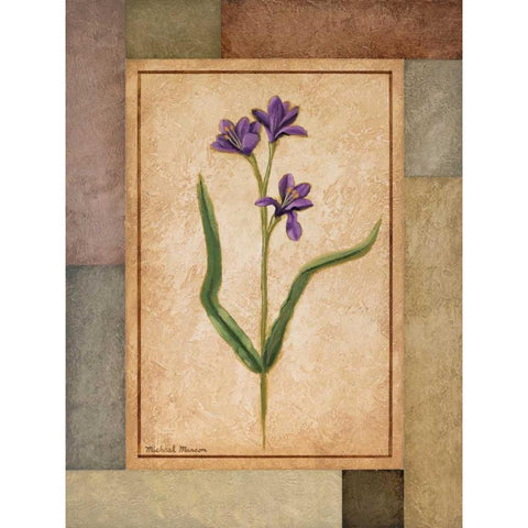 Changing Colors II White Modern Wood Framed Art Print by Marcon, Michael