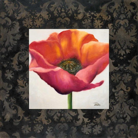 Poppy Flower I Black Modern Wood Framed Art Print with Double Matting by Pinto, Patricia