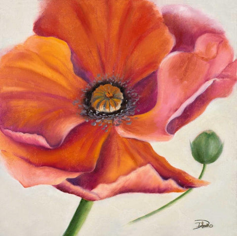 Poppy Flower II White Modern Wood Framed Art Print with Double Matting by Pinto, Patricia