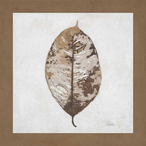 Beauty of Simplicity I Black Modern Wood Framed Art Print with Double Matting by Pinto, Patricia