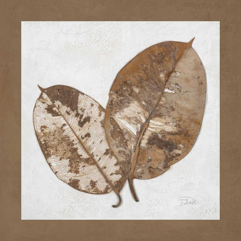 Beauty of Simplicity II White Modern Wood Framed Art Print with Double Matting by Pinto, Patricia