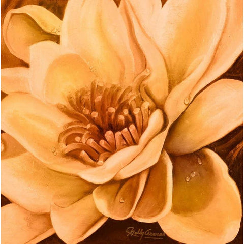 Flor de Loto I Black Modern Wood Framed Art Print by Arenas, Nelly