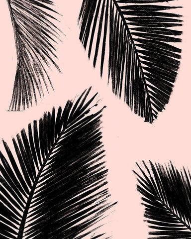 BarÃº Palm Pattern on Blush II White Modern Wood Framed Art Print with Double Matting by Pinto, Patricia
