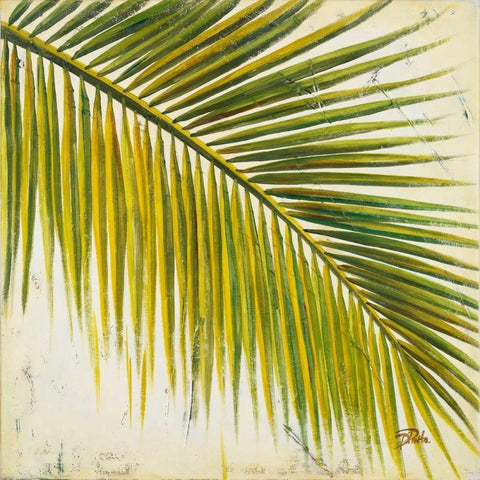 Baru Palm III Black Modern Wood Framed Art Print with Double Matting by Pinto, Patricia