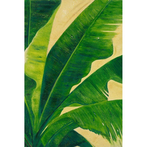 Uraba Palm I Black Modern Wood Framed Art Print with Double Matting by Pinto, Patricia