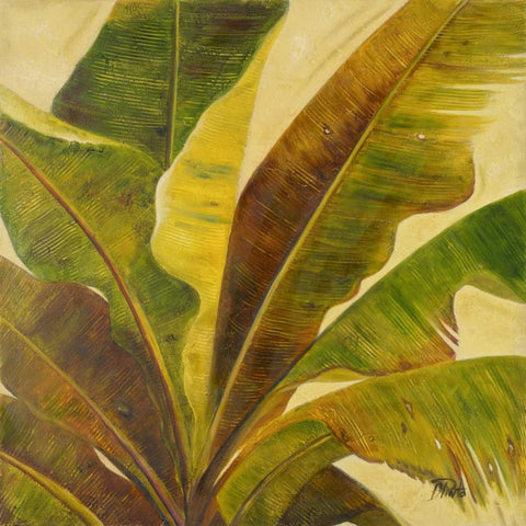 Uraba I Black Modern Wood Framed Art Print by Pinto, Patricia