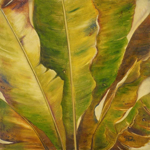 Uraba II White Modern Wood Framed Art Print by Pinto, Patricia