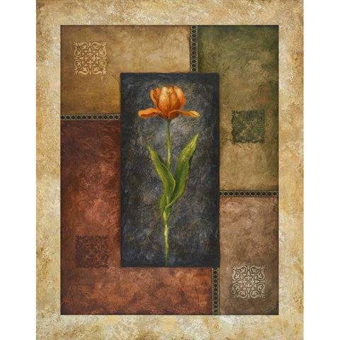 Orange Tulip Black Modern Wood Framed Art Print with Double Matting by Marcon, Michael
