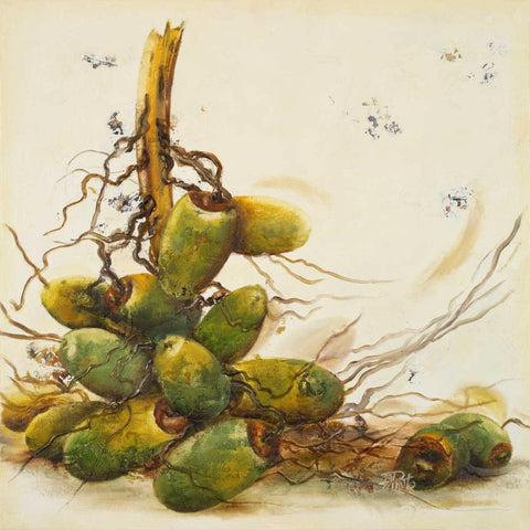 Racimo de Cocos I Black Ornate Wood Framed Art Print with Double Matting by Pinto, Patricia