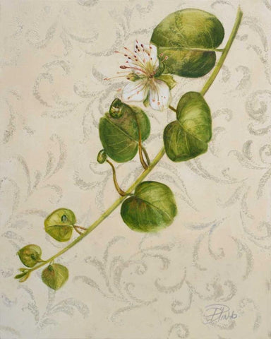 Botanica I White Modern Wood Framed Art Print with Double Matting by Pinto, Patricia