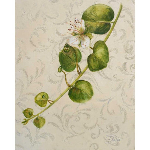 Botanica I Gold Ornate Wood Framed Art Print with Double Matting by Pinto, Patricia