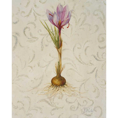 Botanica III Black Modern Wood Framed Art Print by Pinto, Patricia