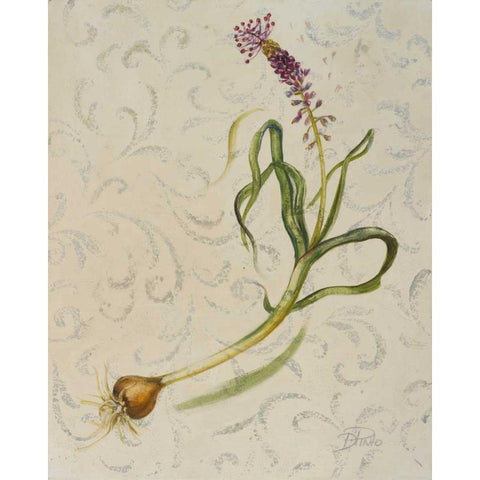 Botanica IV White Modern Wood Framed Art Print by Pinto, Patricia