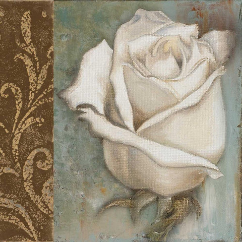 Rose I White Modern Wood Framed Art Print with Double Matting by Pinto, Patricia