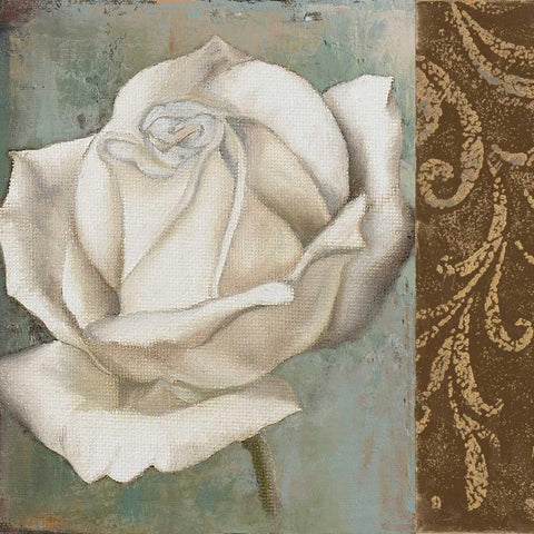 Rose II Black Modern Wood Framed Art Print with Double Matting by Pinto, Patricia