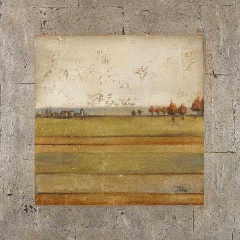 Metalized Landscape I White Modern Wood Framed Art Print with Double Matting by Pinto, Patricia