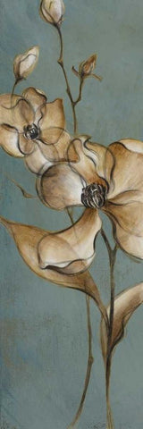 Translucent Magnolias White Modern Wood Framed Art Print with Double Matting by Loreth, Lanie