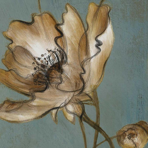 Translucent Poppies Gold Ornate Wood Framed Art Print with Double Matting by Loreth, Lanie