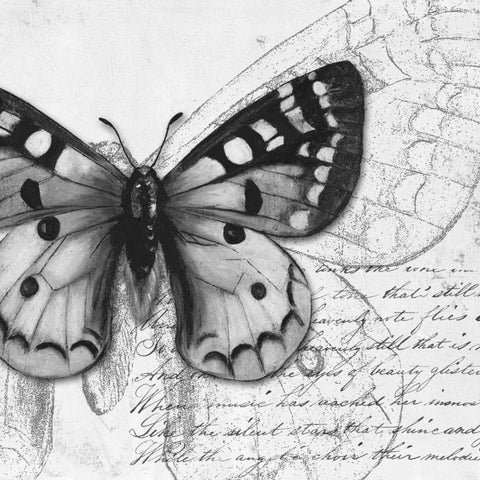 Butterfly Studies I White Modern Wood Framed Art Print by Pinto, Patricia