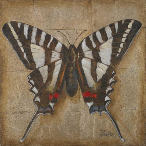 Butterfly I Black Ornate Wood Framed Art Print with Double Matting by Pinto, Patricia