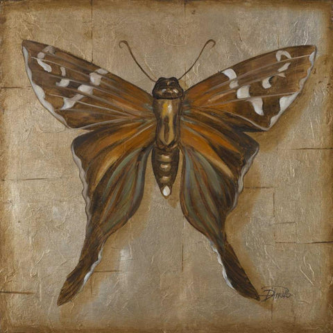 Brown Butterfly White Modern Wood Framed Art Print with Double Matting by Pinto, Patricia