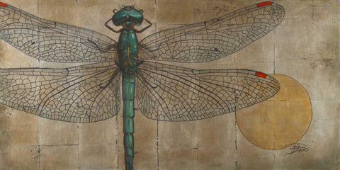 Dragonfly on Silver Black Ornate Wood Framed Art Print with Double Matting by Pinto, Patricia