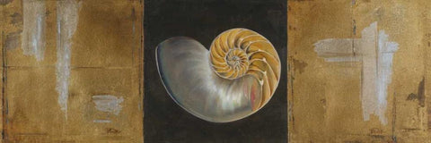 Seashells II Black Ornate Wood Framed Art Print with Double Matting by Pinto, Patricia