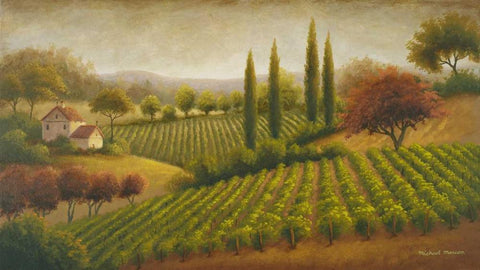 Vineyard In The Sun I Black Ornate Wood Framed Art Print with Double Matting by Marcon, Michael