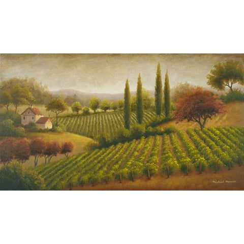 Vineyard In The Sun I White Modern Wood Framed Art Print by Marcon, Michael