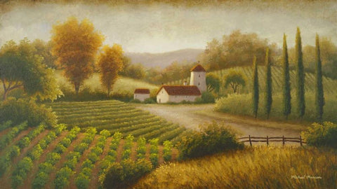 Vineyard In The Sun II Black Ornate Wood Framed Art Print with Double Matting by Marcon, Michael