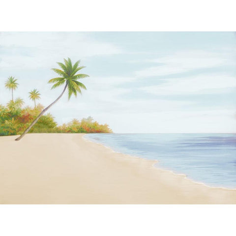 New Tropical Beach II Black Modern Wood Framed Art Print by Rhyan, Vivien
