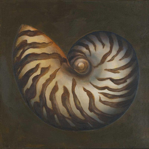 Seashell II Black Ornate Wood Framed Art Print with Double Matting by Pinto, Patricia