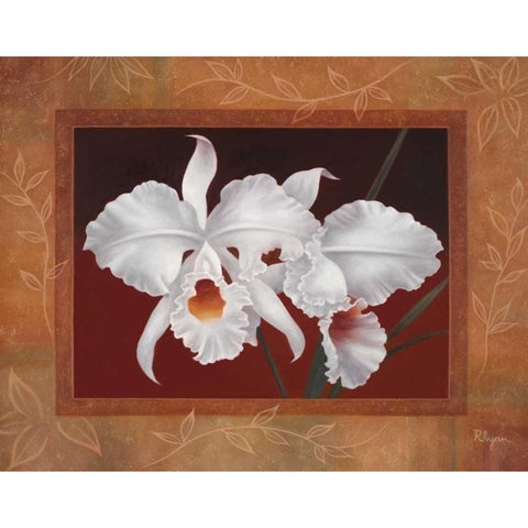 White Orchids Gold Ornate Wood Framed Art Print with Double Matting by Rhyan, Vivien