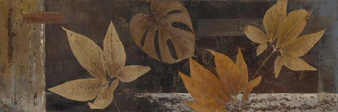 Dry Nature I White Modern Wood Framed Art Print with Double Matting by Pinto, Patricia