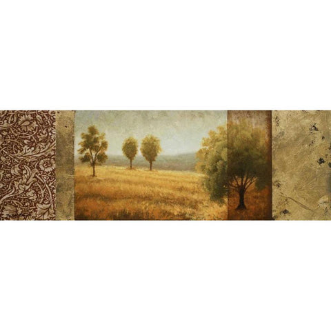 Golden Valley II Gold Ornate Wood Framed Art Print with Double Matting by Marcon, Michael