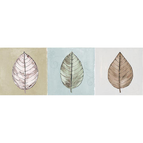 Neutral New Leaf Trio Black Modern Wood Framed Art Print with Double Matting by Pinto, Patricia