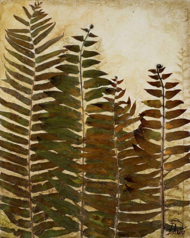Ferns I White Modern Wood Framed Art Print with Double Matting by Pinto, Patricia