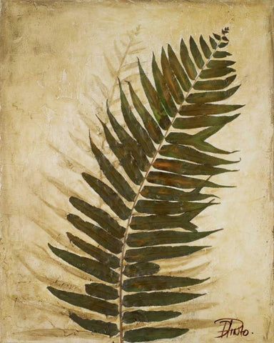Ferns II White Modern Wood Framed Art Print with Double Matting by Pinto, Patricia